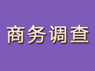 七台河商务调查